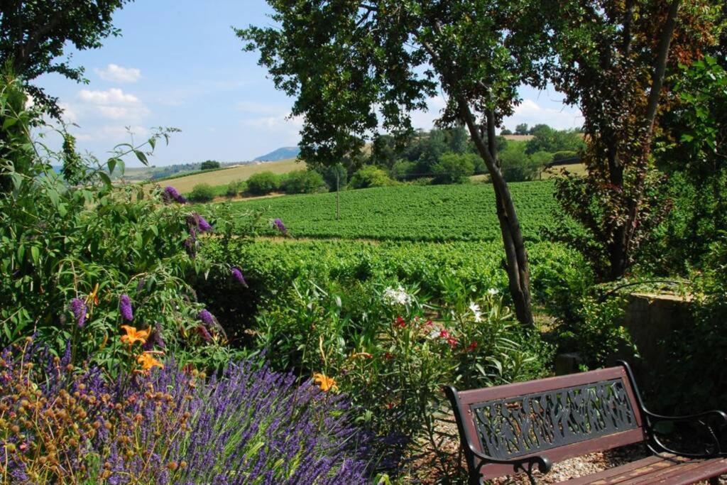 Gite - Holiday Home Vent Marin Limoux Exterior photo