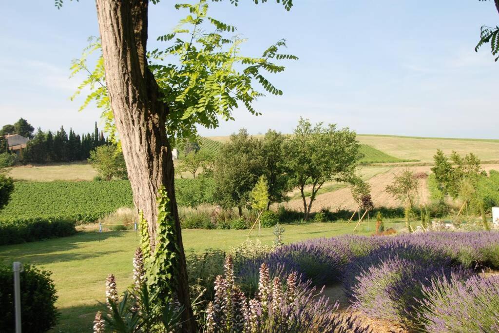 Gite - Holiday Home Vent Marin Limoux Exterior photo